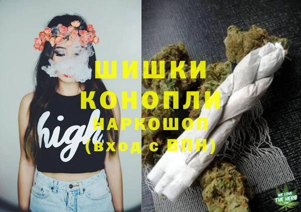 гидра Балахна