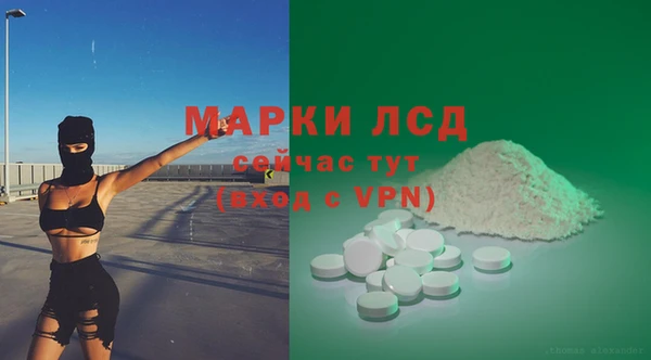 эйфоретик Баксан